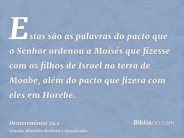 Estas são as palavras do pacto que o Senhor ordenou a Moisés que fizesse com os filhos de Israel na terra de Moabe, além do pacto que fizera com eles em Horebe.