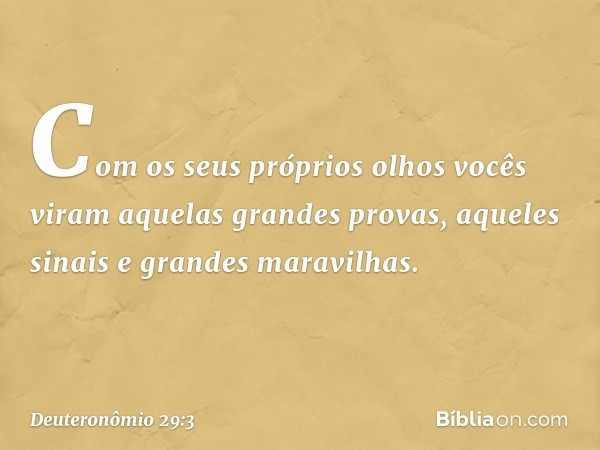 Com os seus próprios olhos vocês viram aquelas grandes provas, aqueles sinais e grandes maravilhas. -- Deuteronômio 29:3