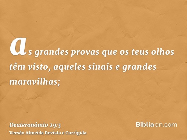 as grandes provas que os teus olhos têm visto, aqueles sinais e grandes maravilhas;