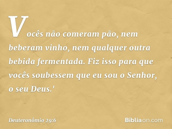 Vocês não comeram pão, nem beberam vinho, nem qualquer outra bebida fermentada. Fiz isso para que vocês soubessem que eu sou o Senhor, o seu Deus.' -- Deuteronô