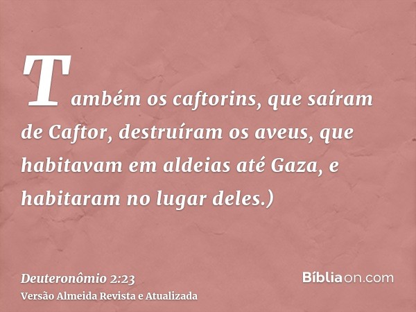 Também os caftorins, que saíram de Caftor, destruíram os aveus, que habitavam em aldeias até Gaza, e habitaram no lugar deles.)