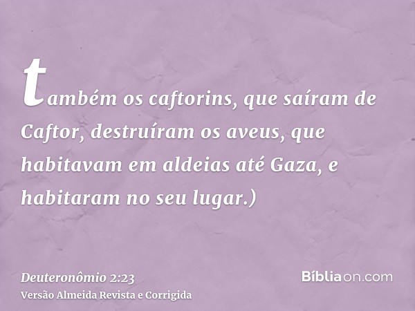 também os caftorins, que saíram de Caftor, destruíram os aveus, que habitavam em aldeias até Gaza, e habitaram no seu lugar.)