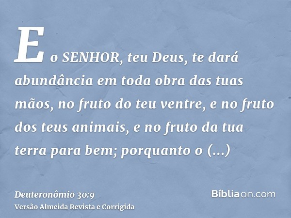 E o SENHOR, teu Deus, te dará abundância em toda obra das tuas mãos, no fruto do teu ventre, e no fruto dos teus animais, e no fruto da tua terra para bem; porq