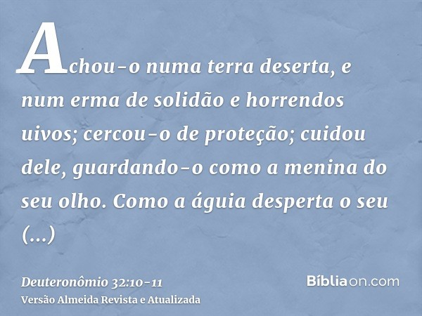 Achou-o numa terra deserta, e num erma de solidão e horrendos uivos; cercou-o de proteção; cuidou dele, guardando-o como a menina do seu olho.Como a águia despe