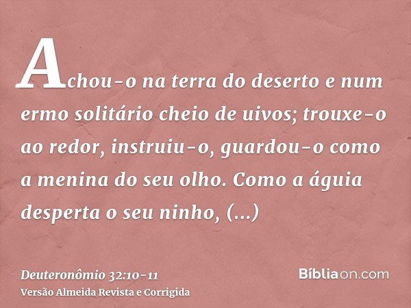 Achou-o na terra do deserto e num ermo solitário cheio de uivos; trouxe-o ao redor, instruiu-o, guardou-o como a menina do seu olho.Como a águia desperta o seu 