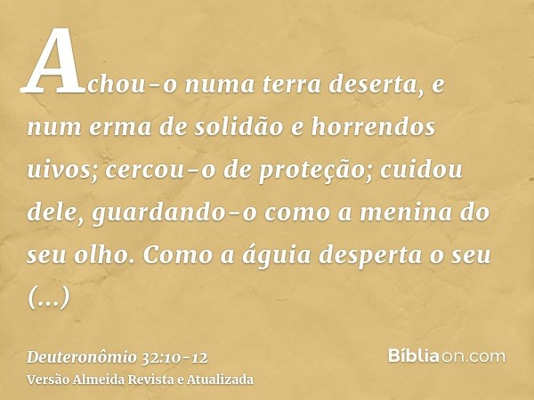 Achou-o numa terra deserta, e num erma de solidão e horrendos uivos; cercou-o de proteção; cuidou dele, guardando-o como a menina do seu olho.Como a águia despe