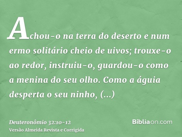 Achou-o na terra do deserto e num ermo solitário cheio de uivos; trouxe-o ao redor, instruiu-o, guardou-o como a menina do seu olho.Como a águia desperta o seu 