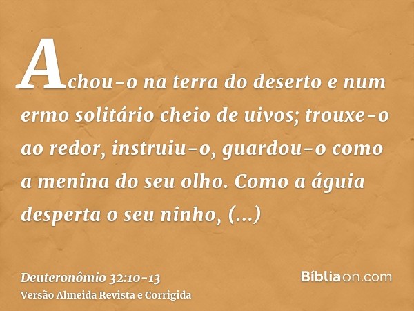 Achou-o na terra do deserto e num ermo solitário cheio de uivos; trouxe-o ao redor, instruiu-o, guardou-o como a menina do seu olho.Como a águia desperta o seu