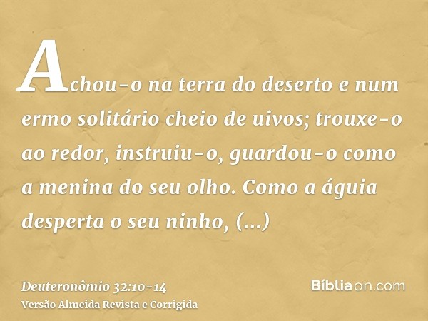 Achou-o na terra do deserto e num ermo solitário cheio de uivos; trouxe-o ao redor, instruiu-o, guardou-o como a menina do seu olho.Como a águia desperta o seu 