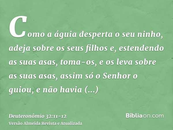 Como a águia desperta o seu ninho, adeja sobre os seus filhos e, estendendo as suas asas, toma-os, e os leva sobre as suas asas,assim só o Senhor o guiou, e não