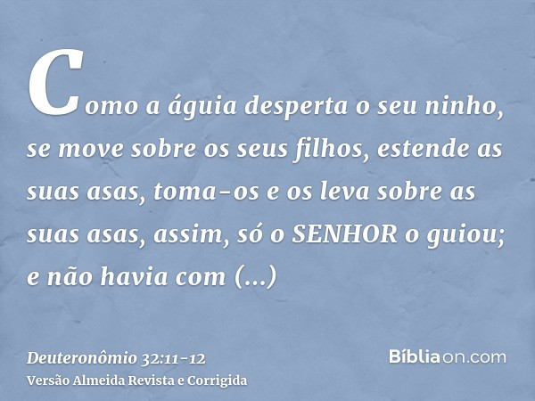 Como a águia desperta o seu ninho, se move sobre os seus filhos, estende as suas asas, toma-os e os leva sobre as suas asas,assim, só o SENHOR o guiou; e não ha