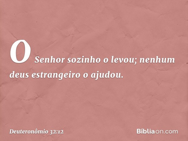 O Senhor sozinho o levou;
nenhum deus estrangeiro o ajudou. -- Deuteronômio 32:12