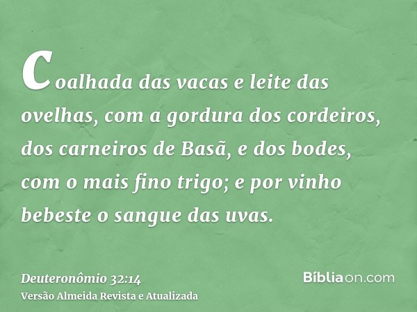 coalhada das vacas e leite das ovelhas, com a gordura dos cordeiros, dos carneiros de Basã, e dos bodes, com o mais fino trigo; e por vinho bebeste o sangue das