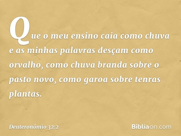 Que o meu ensino caia como chuva
e as minhas palavras
desçam como orvalho,
como chuva branda sobre o pasto novo,
como garoa sobre tenras plantas. -- Deuteronômi