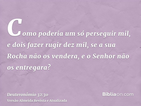 Como poderia um só perseguir mil, e dois fazer rugir dez mil, se a sua Rocha não os vendera, e o Senhor não os entregara?