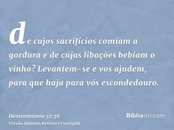 de cujos sacrifícios comiam a gordura e de cujas libações bebiam o vinho? Levantem-se e vos ajudem, para que haja para vós escondedouro.