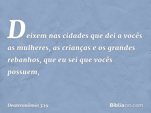 Deixem nas cidades que dei a vocês as mulheres, as crianças e os grandes rebanhos, que eu sei que vocês possuem, -- Deuteronômio 3:19