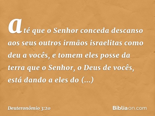 até que o Senhor conceda descanso aos seus outros irmãos israelitas como deu a vocês, e tomem eles posse da terra que o Senhor, o Deus de vocês, está dando a el