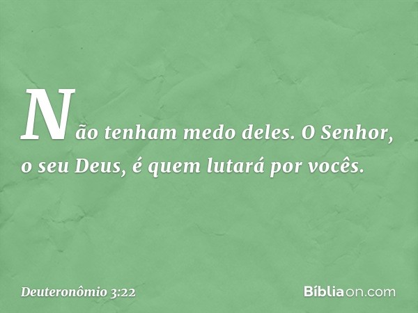 Não tenham medo deles. O Senhor, o seu Deus, é quem lutará por vocês. -- Deuteronômio 3:22