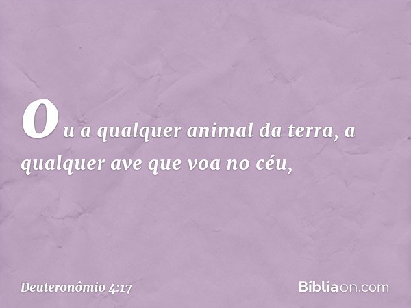 ou a qualquer animal da terra, a qualquer ave que voa no céu, -- Deuteronômio 4:17