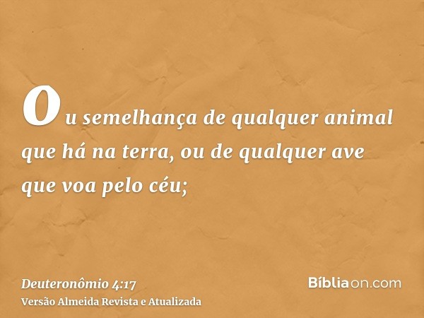 ou semelhança de qualquer animal que há na terra, ou de qualquer ave que voa pelo céu;