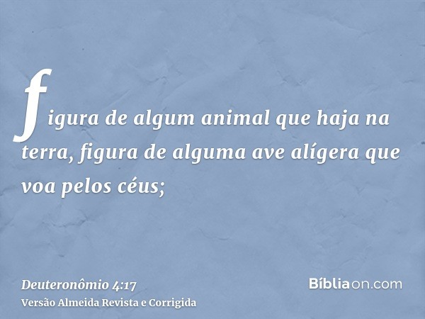 figura de algum animal que haja na terra, figura de alguma ave alígera que voa pelos céus;