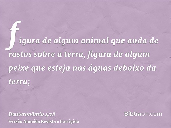 figura de algum animal que anda de rastos sobre a terra, figura de algum peixe que esteja nas águas debaixo da terra;