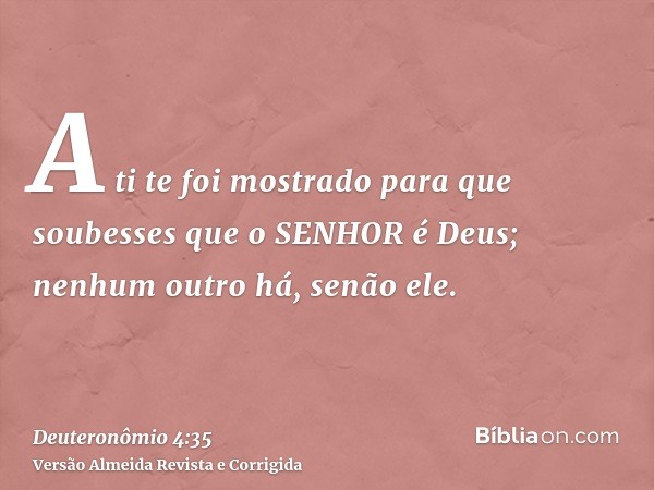 A ti te foi mostrado para que soubesses que o SENHOR é Deus; nenhum outro há, senão ele.