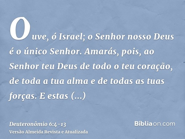 Ouve, ó Israel; o Senhor nosso Deus é o único Senhor.Amarás, pois, ao Senhor teu Deus de todo o teu coração, de toda a tua alma e de todas as tuas forças.E esta