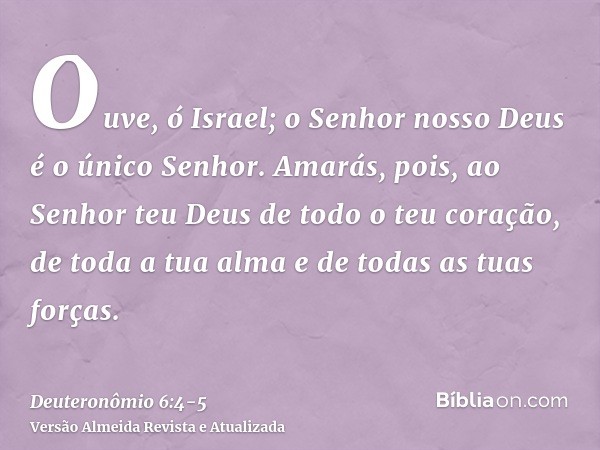 Ouve, ó Israel; o Senhor nosso Deus é o único Senhor.Amarás, pois, ao Senhor teu Deus de todo o teu coração, de toda a tua alma e de todas as tuas forças.