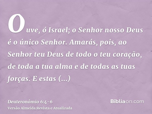 Ouve, ó Israel; o Senhor nosso Deus é o único Senhor.Amarás, pois, ao Senhor teu Deus de todo o teu coração, de toda a tua alma e de todas as tuas forças.E esta