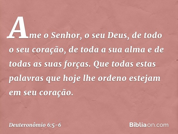 Ame o Senhor, o seu Deus, de todo o seu coração, de toda a sua alma e de todas as suas forças. Que todas estas palavras que hoje lhe ordeno estejam em seu coraç