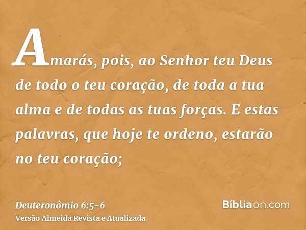 Amarás, pois, ao Senhor teu Deus de todo o teu coração, de toda a tua alma e de todas as tuas forças.E estas palavras, que hoje te ordeno, estarão no teu coraçã