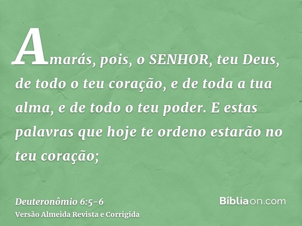 Amarás, pois, o SENHOR, teu Deus, de todo o teu coração, e de toda a tua alma, e de todo o teu poder.E estas palavras que hoje te ordeno estarão no teu coração;