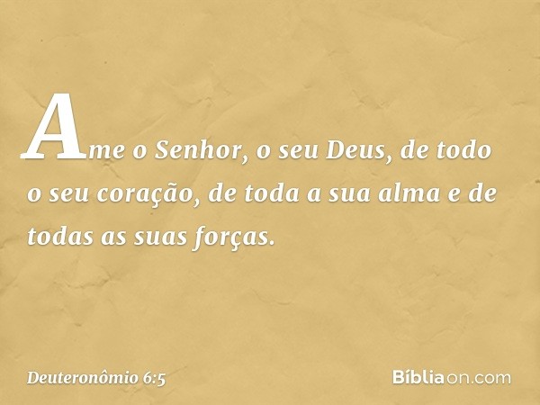 Ame o Senhor, o seu Deus, de todo o seu coração, de toda a sua alma e de todas as suas forças. -- Deuteronômio 6:5