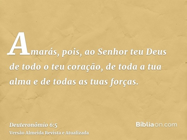 Amarás, pois, ao Senhor teu Deus de todo o teu coração, de toda a tua alma e de todas as tuas forças.