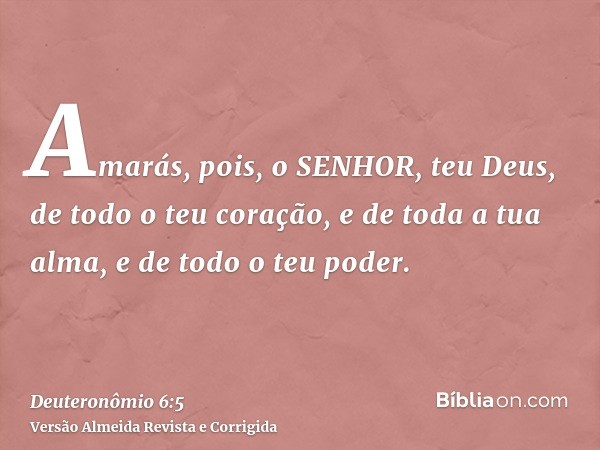 Amarás, pois, o SENHOR, teu Deus, de todo o teu coração, e de toda a tua alma, e de todo o teu poder.