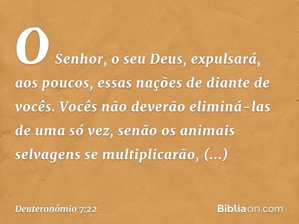 O Senhor, o seu Deus, expulsará, aos poucos, essas nações de diante de vocês. Vocês não deverão eliminá-las de uma só vez, senão os animais selvagens se multipl