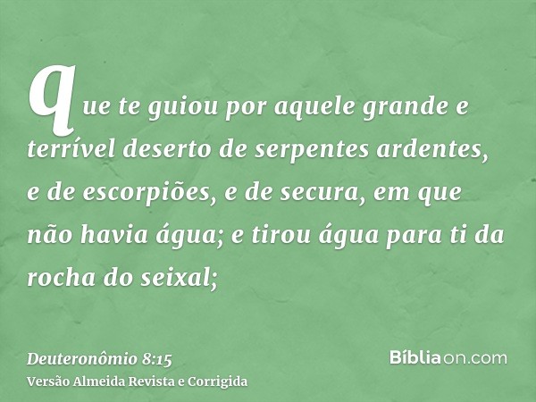 que te guiou por aquele grande e terrível deserto de serpentes ardentes, e de escorpiões, e de secura, em que não havia água; e tirou água para ti da rocha do s
