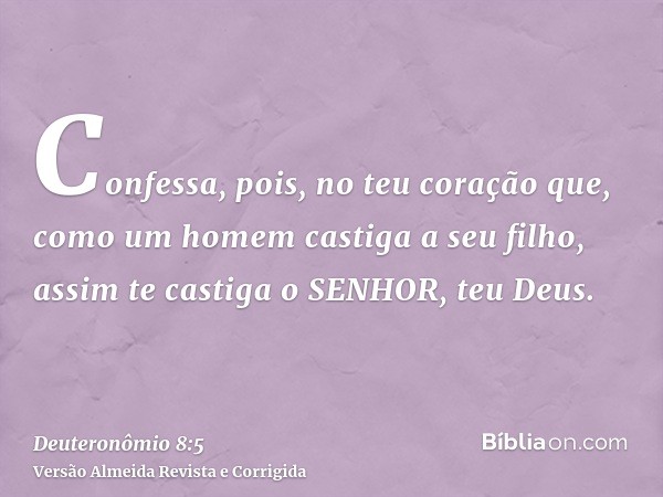 Confessa, pois, no teu coração que, como um homem castiga a seu filho, assim te castiga o SENHOR, teu Deus.