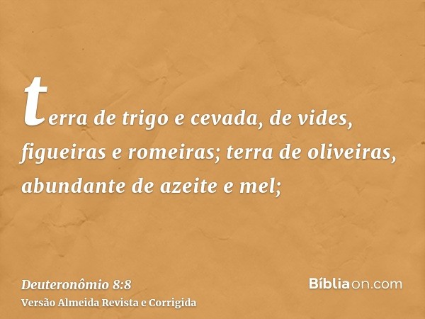 terra de trigo e cevada, de vides, figueiras e romeiras; terra de oliveiras, abundante de azeite e mel;