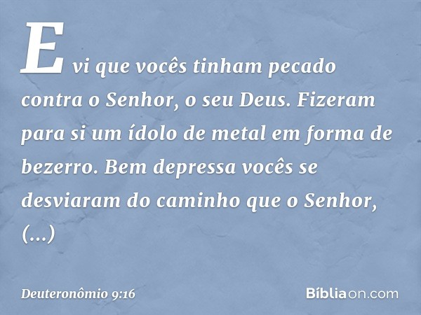 E vi que vocês tinham pecado contra o Senhor, o seu Deus. Fizeram para si um ídolo de metal em forma de bezerro. Bem depressa vocês se desviaram do caminho que 