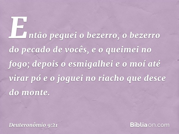 Então peguei o bezerro, o bezerro do pecado de vocês, e o queimei no fogo; depois o esmigalhei e o moí até virar pó e o joguei no riacho que desce do monte. -- 