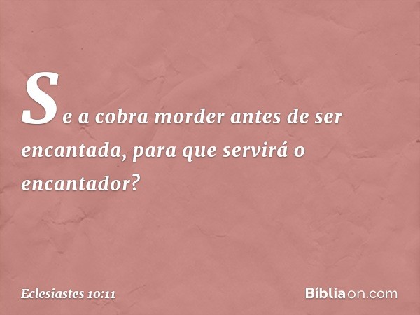 Se a cobra morder
antes de ser encantada,
para que servirá o encantador? -- Eclesiastes 10:11