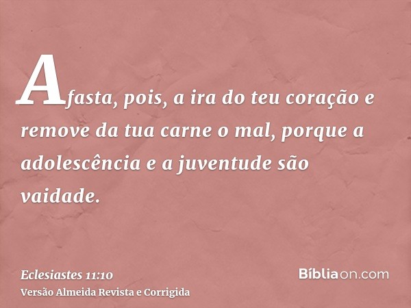 Afasta, pois, a ira do teu coração e remove da tua carne o mal, porque a adolescência e a juventude são vaidade.