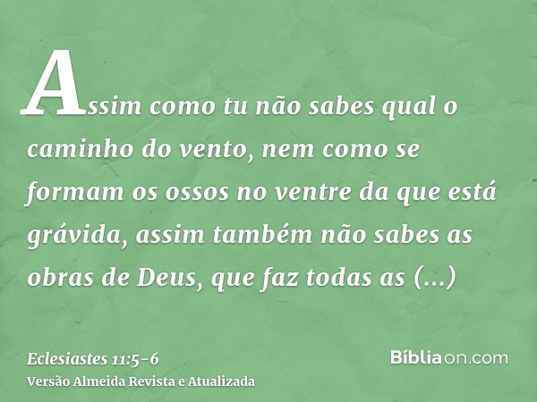 Assim como tu não sabes qual o caminho do vento, nem como se formam os ossos no ventre da que está grávida, assim também não sabes as obras de Deus, que faz tod