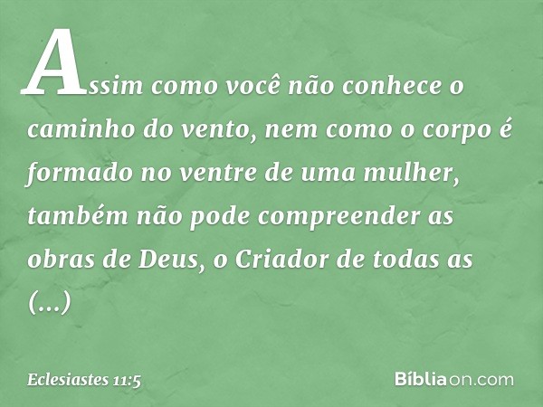 Assim como você não conhece
o caminho do vento,
nem como o corpo é formado
no ventre de uma mulher,
também não pode compreender
as obras de Deus,
o Criador de t