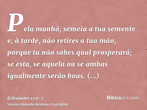 Pela manhã, semeia a tua semente e, à tarde, não retires a tua mão, porque tu não sabes qual prosperará; se esta, se aquela ou se ambas igualmente serão boas.Ve