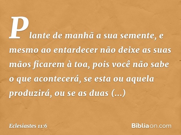 Plante de manhã a sua semente,
e mesmo ao entardecer
não deixe as suas mãos ficarem à toa,
pois você não sabe o que acontecerá,
se esta ou aquela produzirá,
ou 