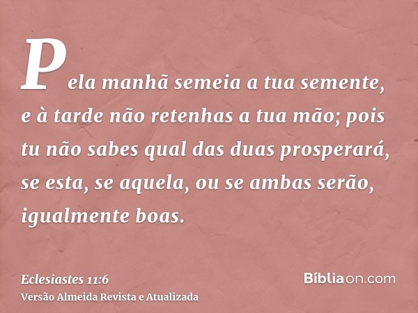 Pela manhã semeia a tua semente, e à tarde não retenhas a tua mão; pois tu não sabes qual das duas prosperará, se esta, se aquela, ou se ambas serão, igualmente